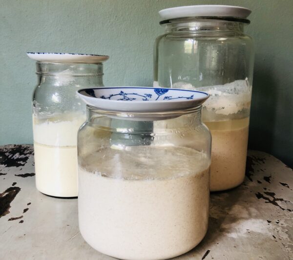 Gluten-Free and Lectin-Free Sourdough Course